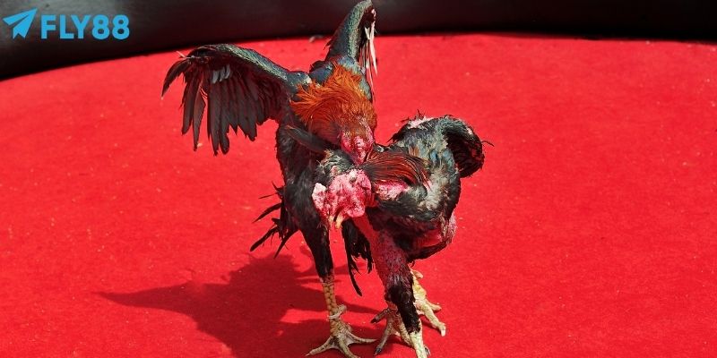 Người chơi cần sử dụng nhiều chiến thuật linh hoạt